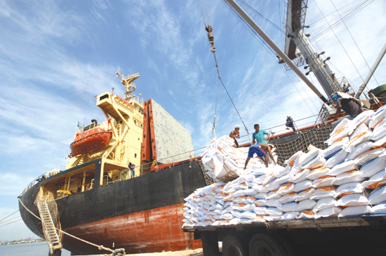 Pemerintah Rencana Impor 1 Juta Ton Beras, Legislator Pertanyakan Food Estate